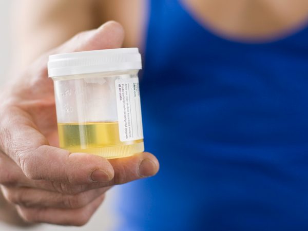 Let’s Find The Answer To How Much Does Synthetic Urine Cost